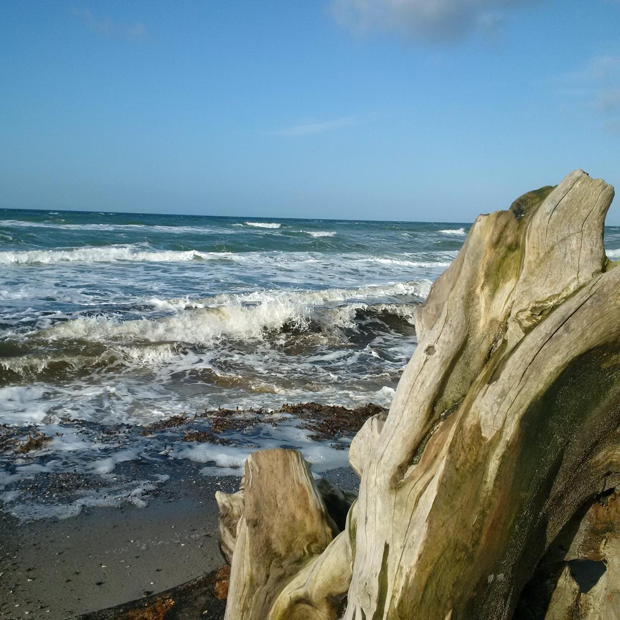 Duene-9 In Dierhagen-Strand Quarto foto